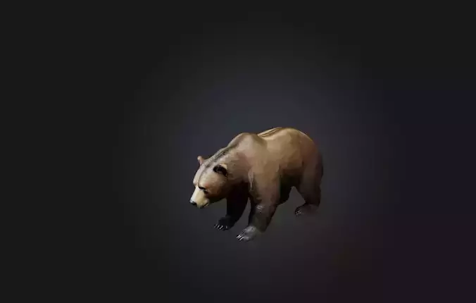 Realistic Bear Low-poly 3D model