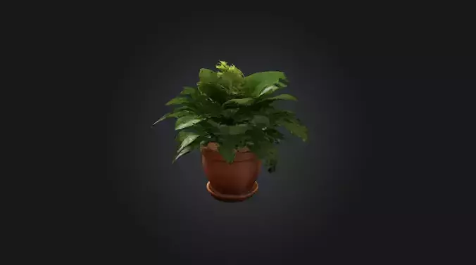 Realistic Potted Plant