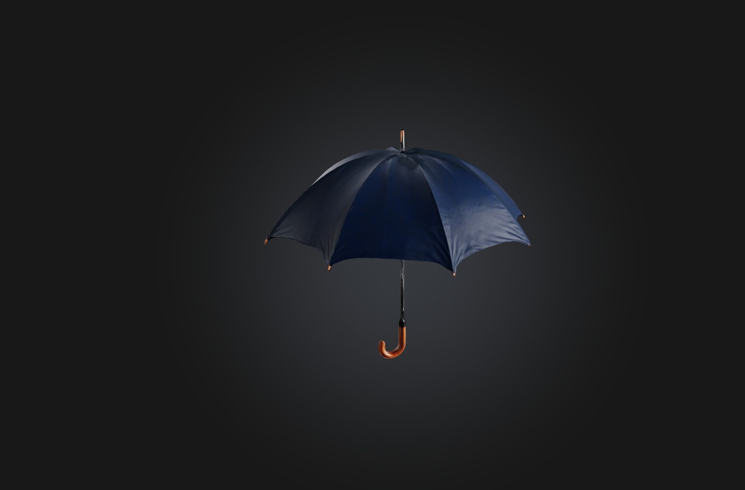 Realistic Umbrella Low-poly 3D model_3