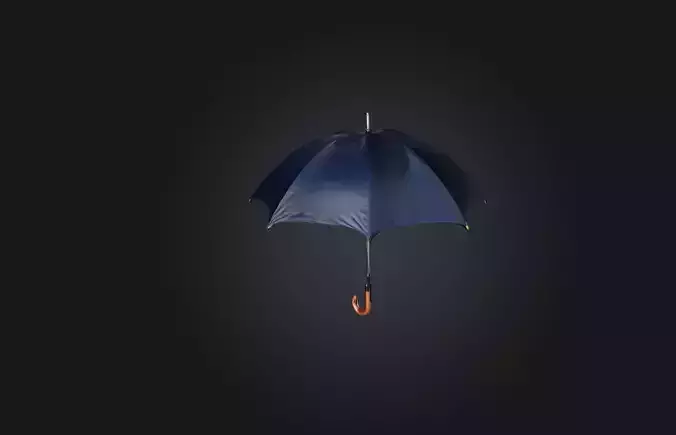 Realistic Umbrella
