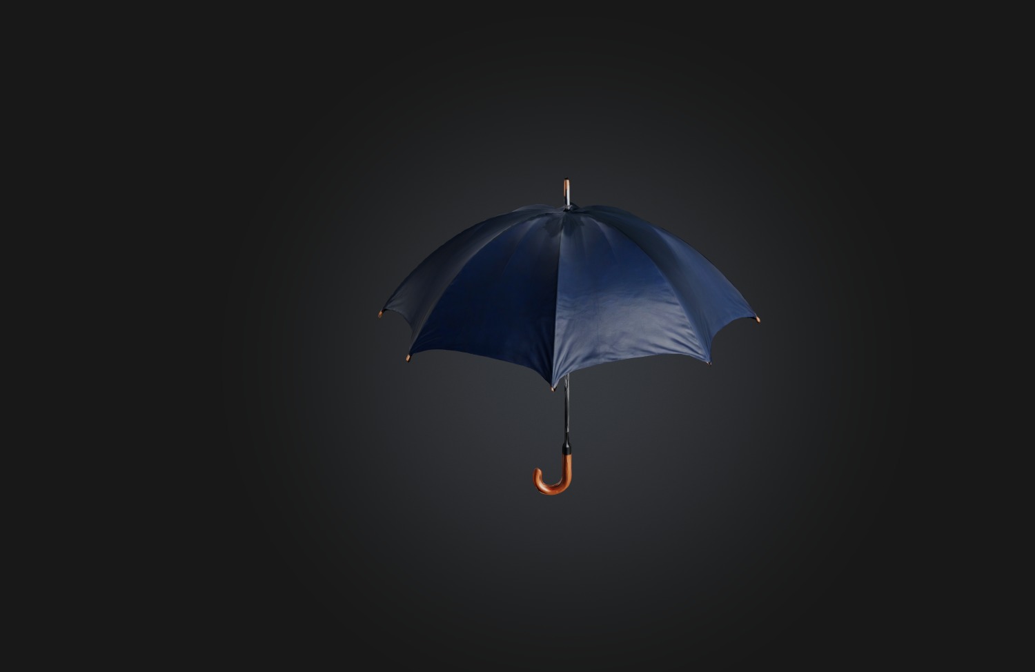 Realistic Umbrella Low-poly 3D model_2