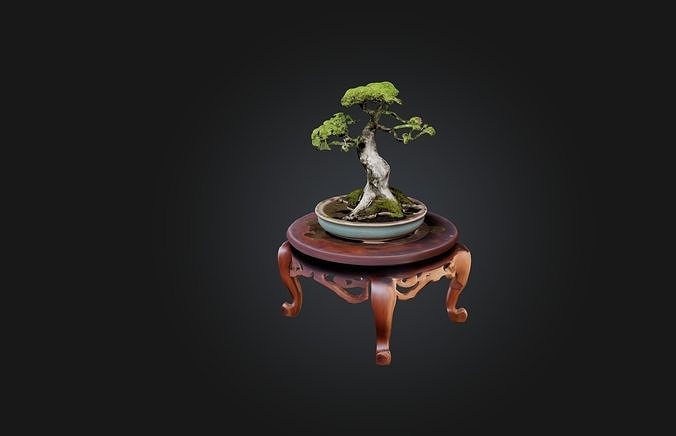 Unique Bonsai Tree Stand Low-poly 3D model