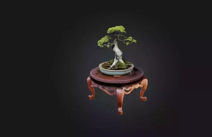 Unique Bonsai Tree Stand Low-poly 3D model