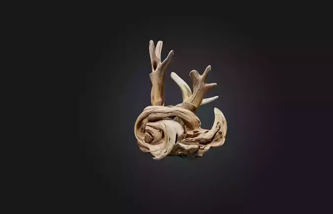 Unique Driftwood Sculpture Low-poly 3D model