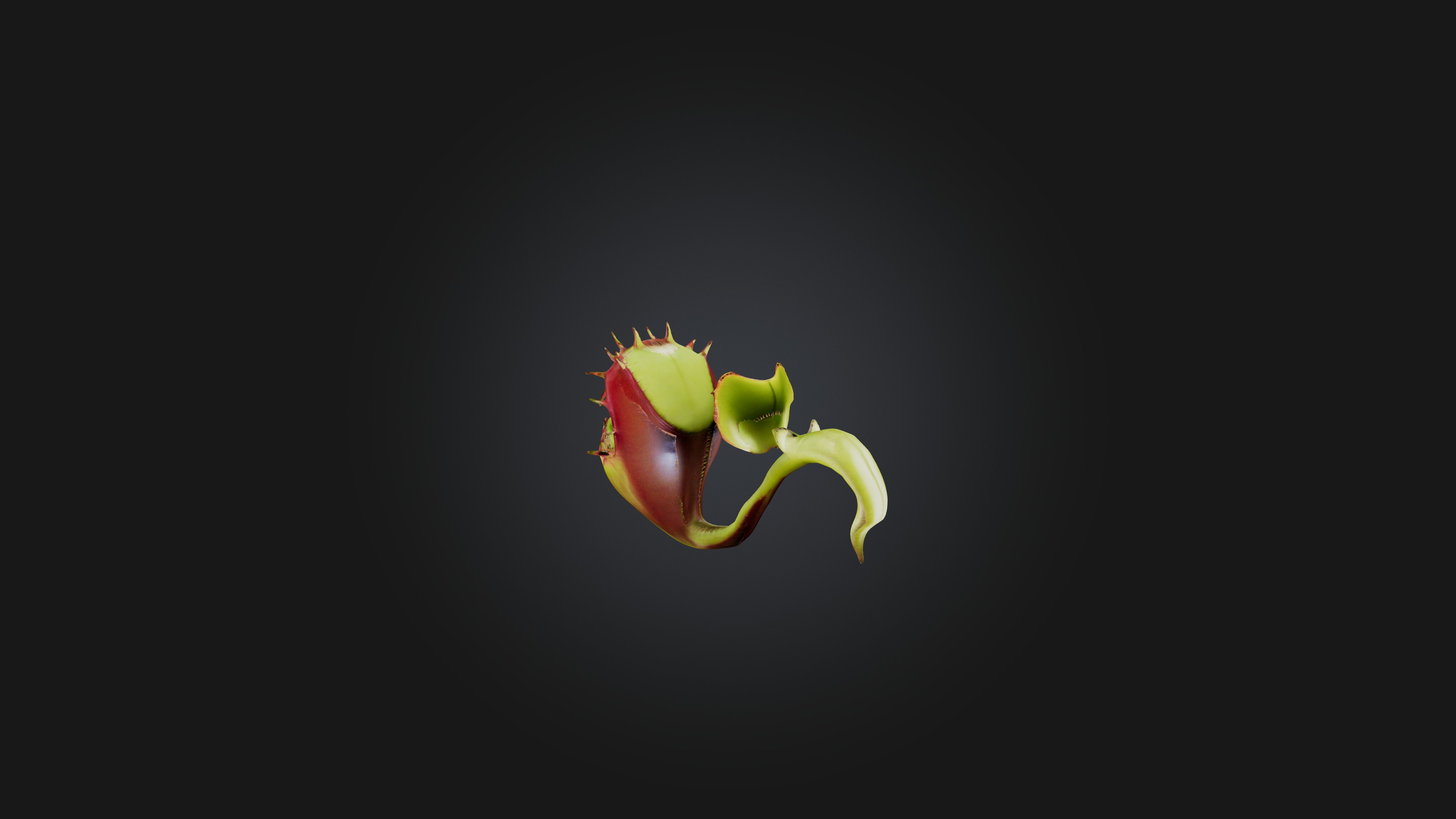 Venus Flytrap 3D model_3