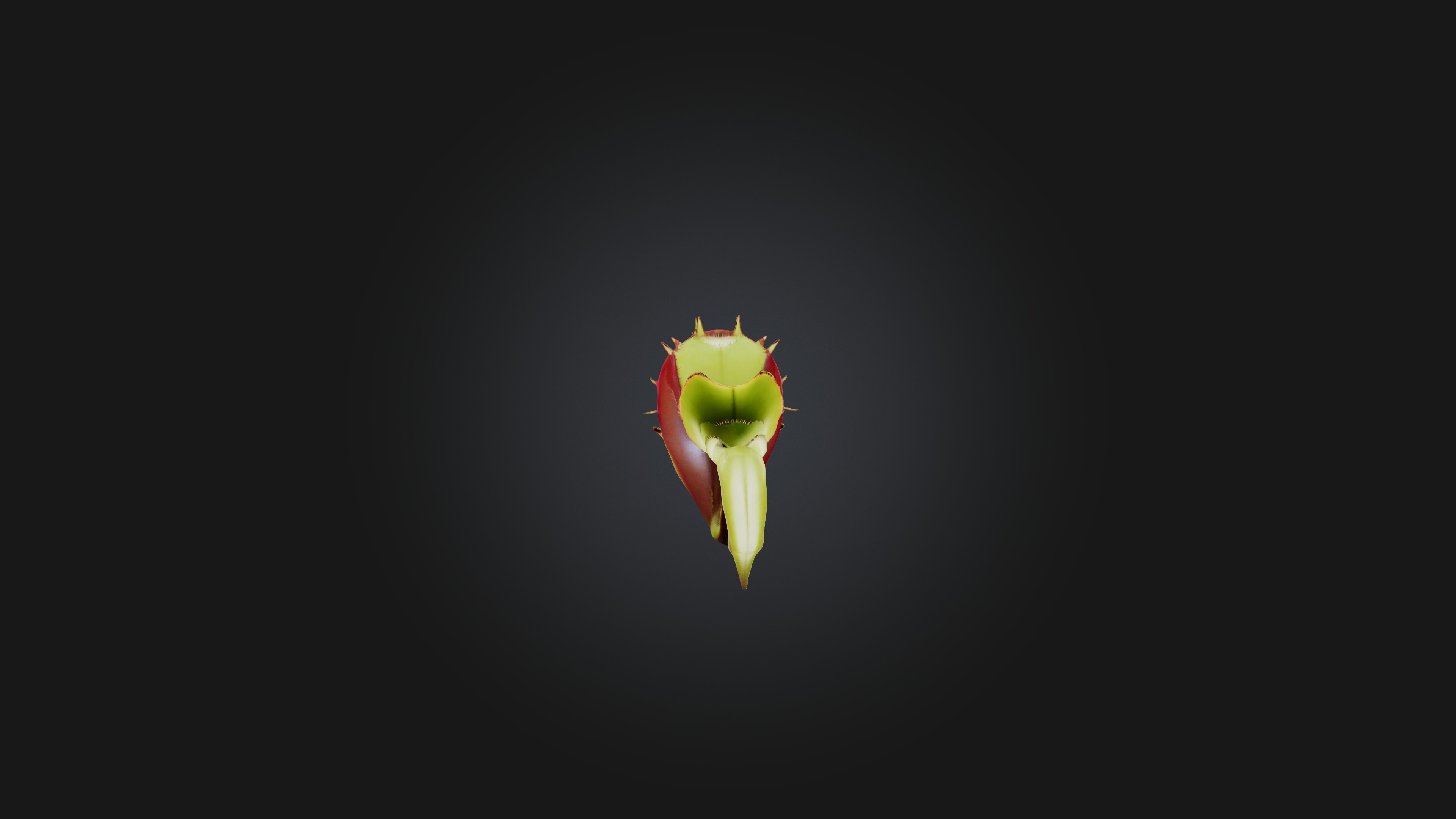 Venus Flytrap 3D model_2