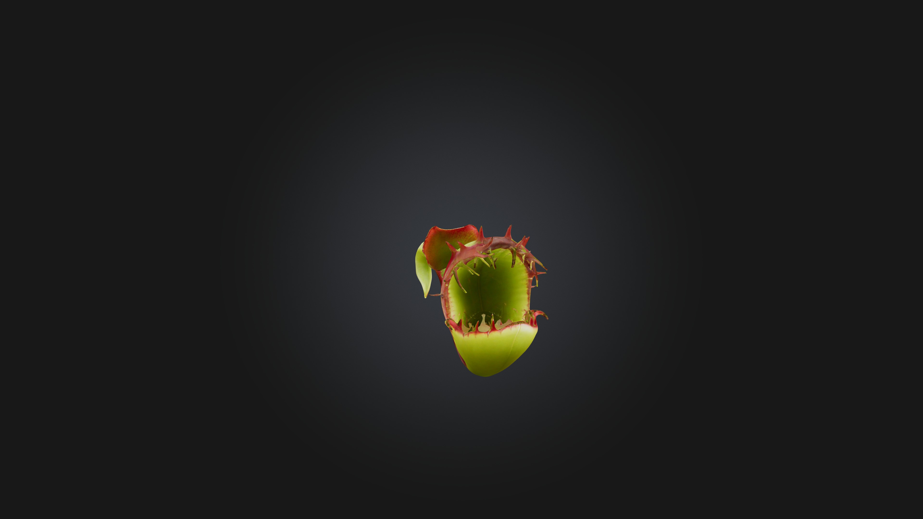 Venus Flytrap 3D model_6