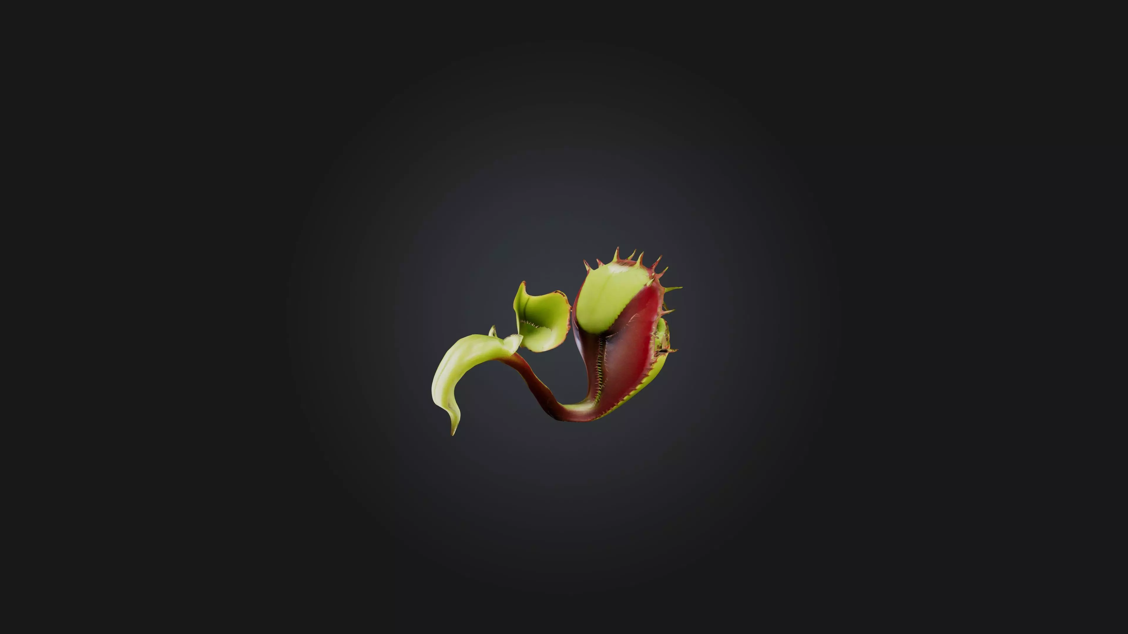 Venus Flytrap 3D model_0