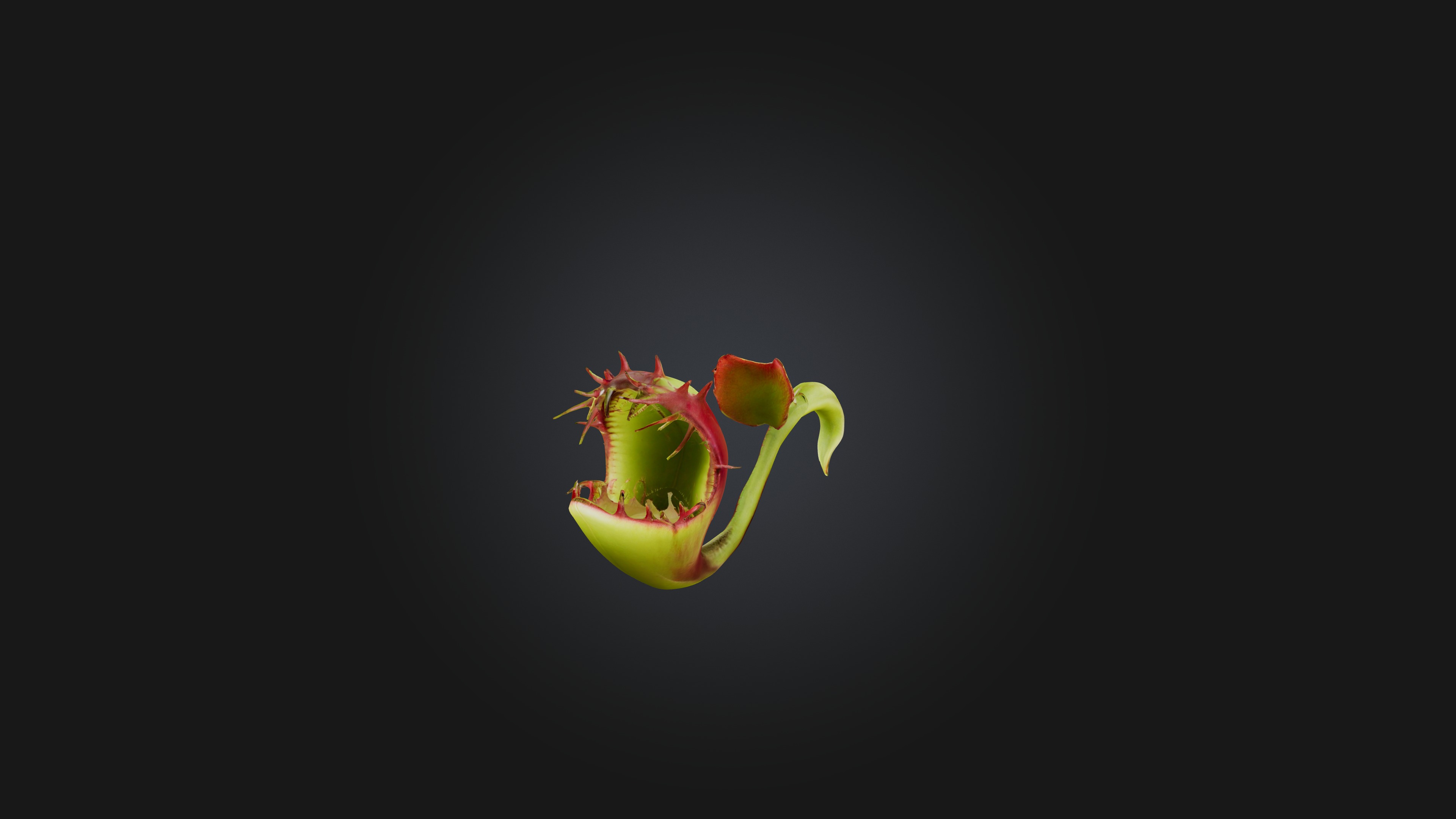 Venus Flytrap 3D model_5