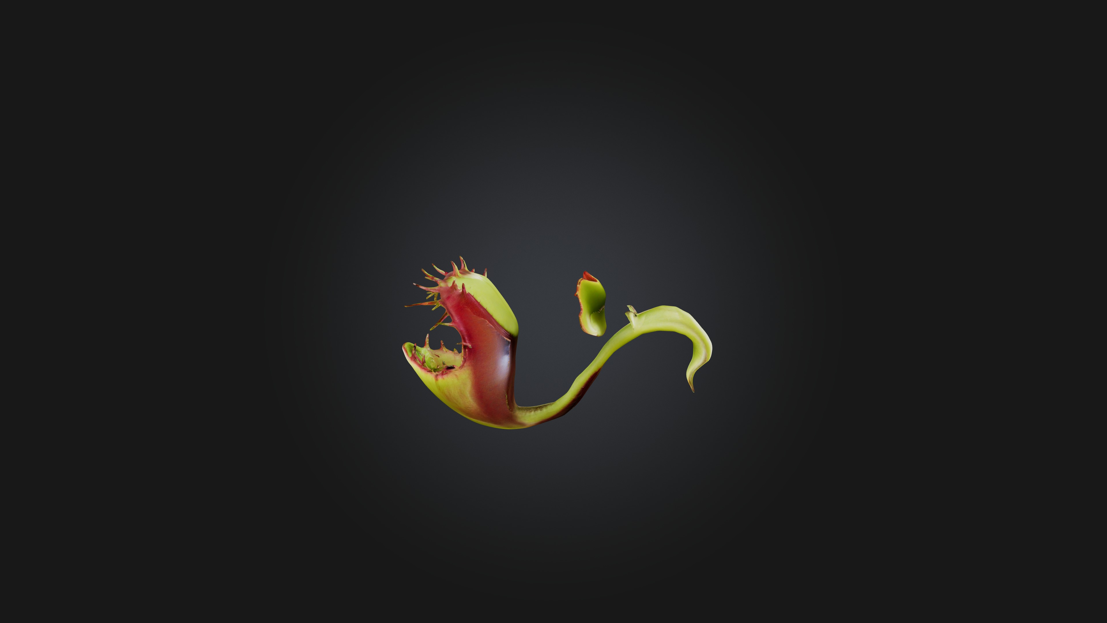 Venus Flytrap 3D model_4
