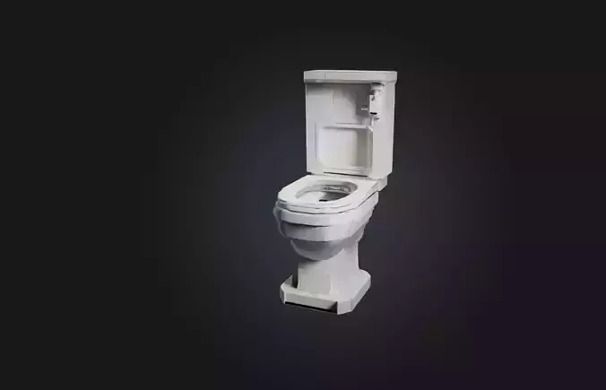 Voxel Toilet