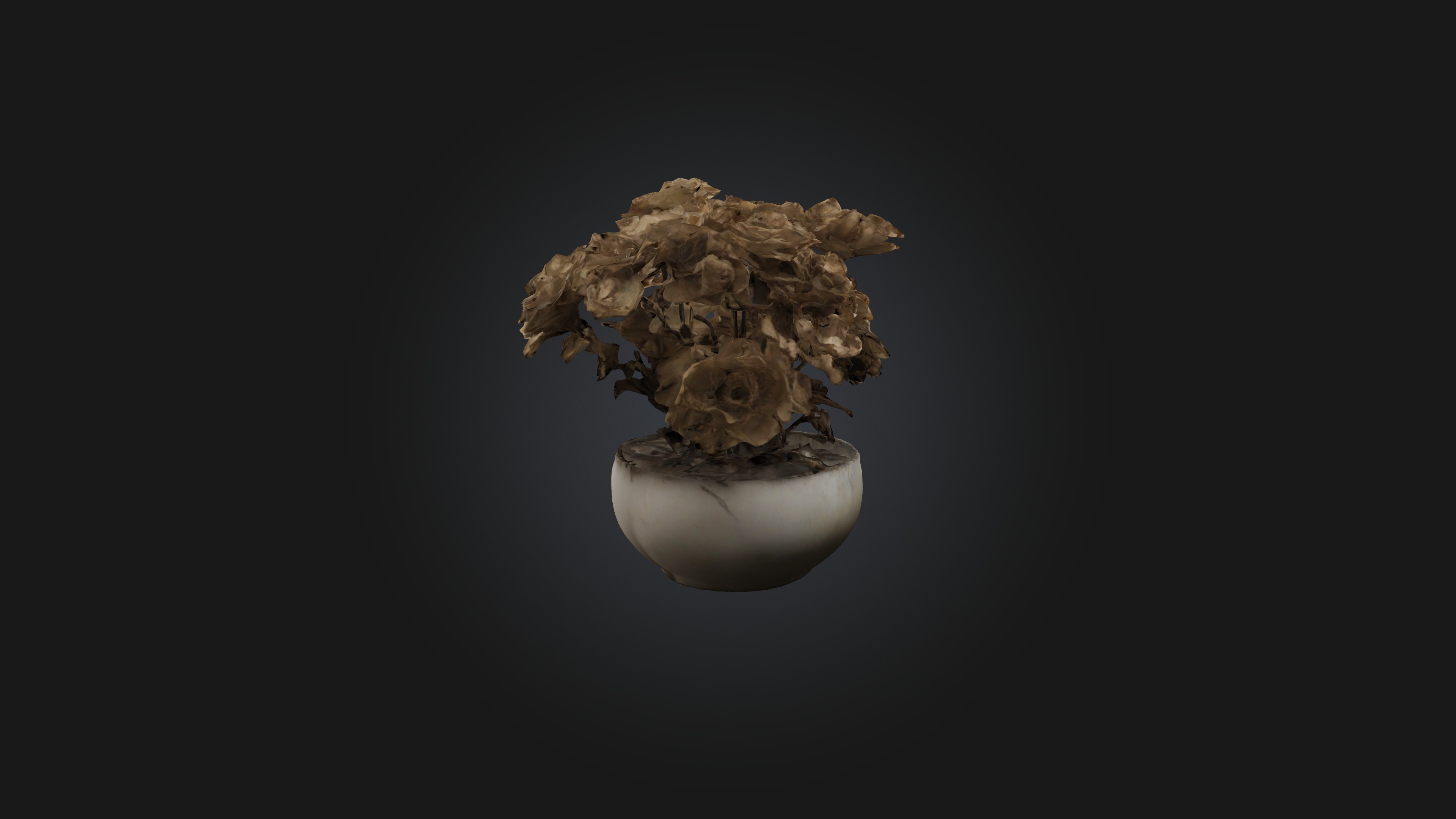 Withered Flowers Low-poly 3D model_4