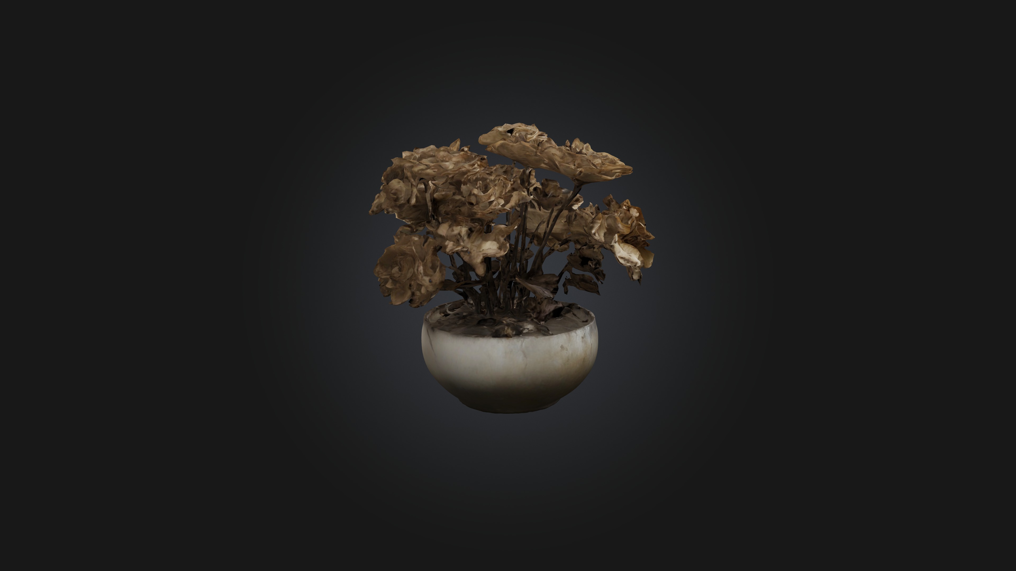 Withered Flowers Low-poly 3D model_7