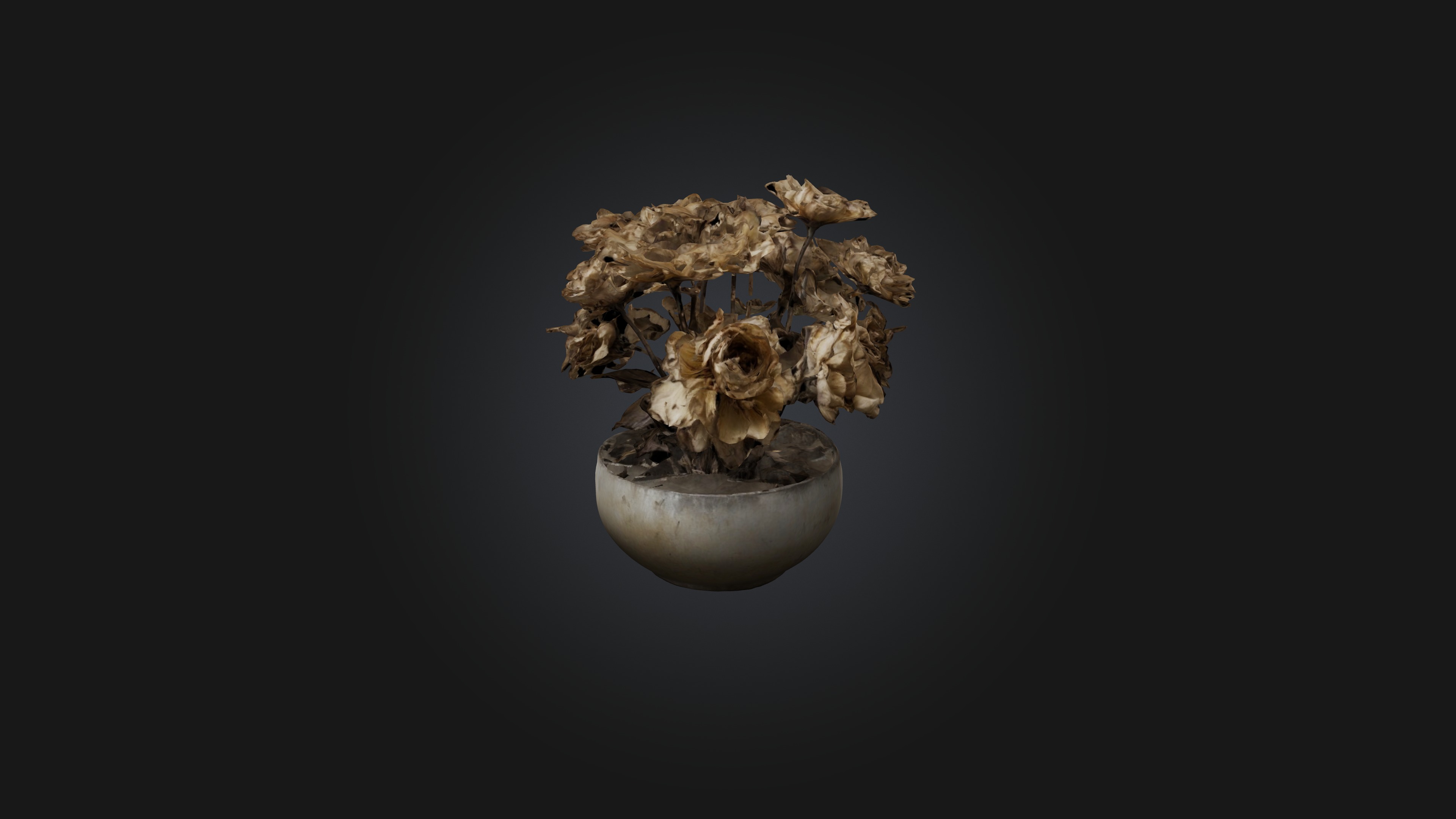 Withered Flowers Low-poly 3D model_3