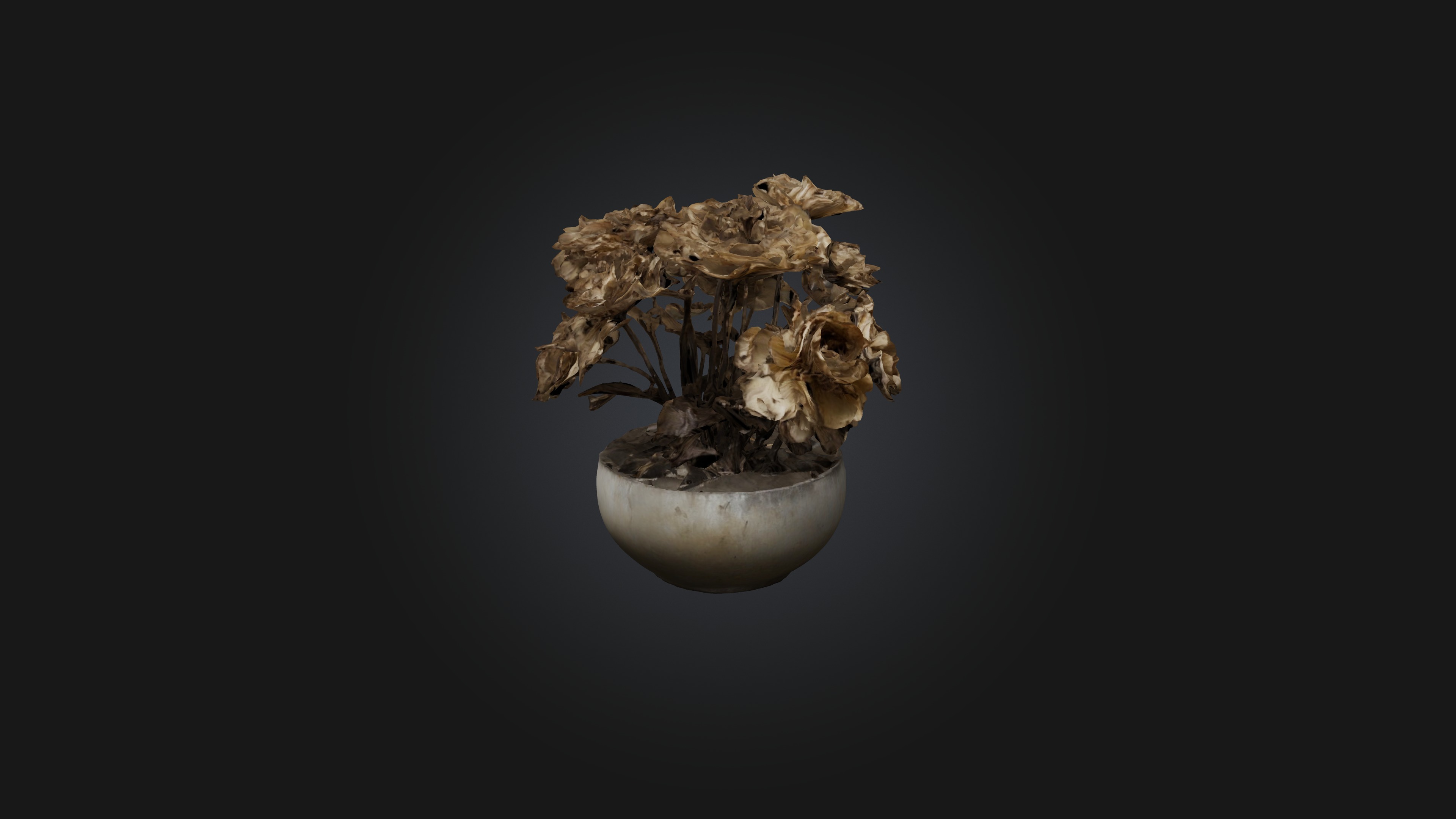 Withered Flowers Low-poly 3D model_6