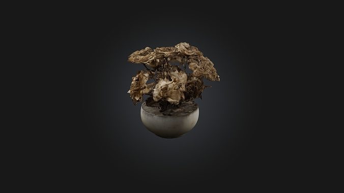 Withered Flowers Low-poly 3D model