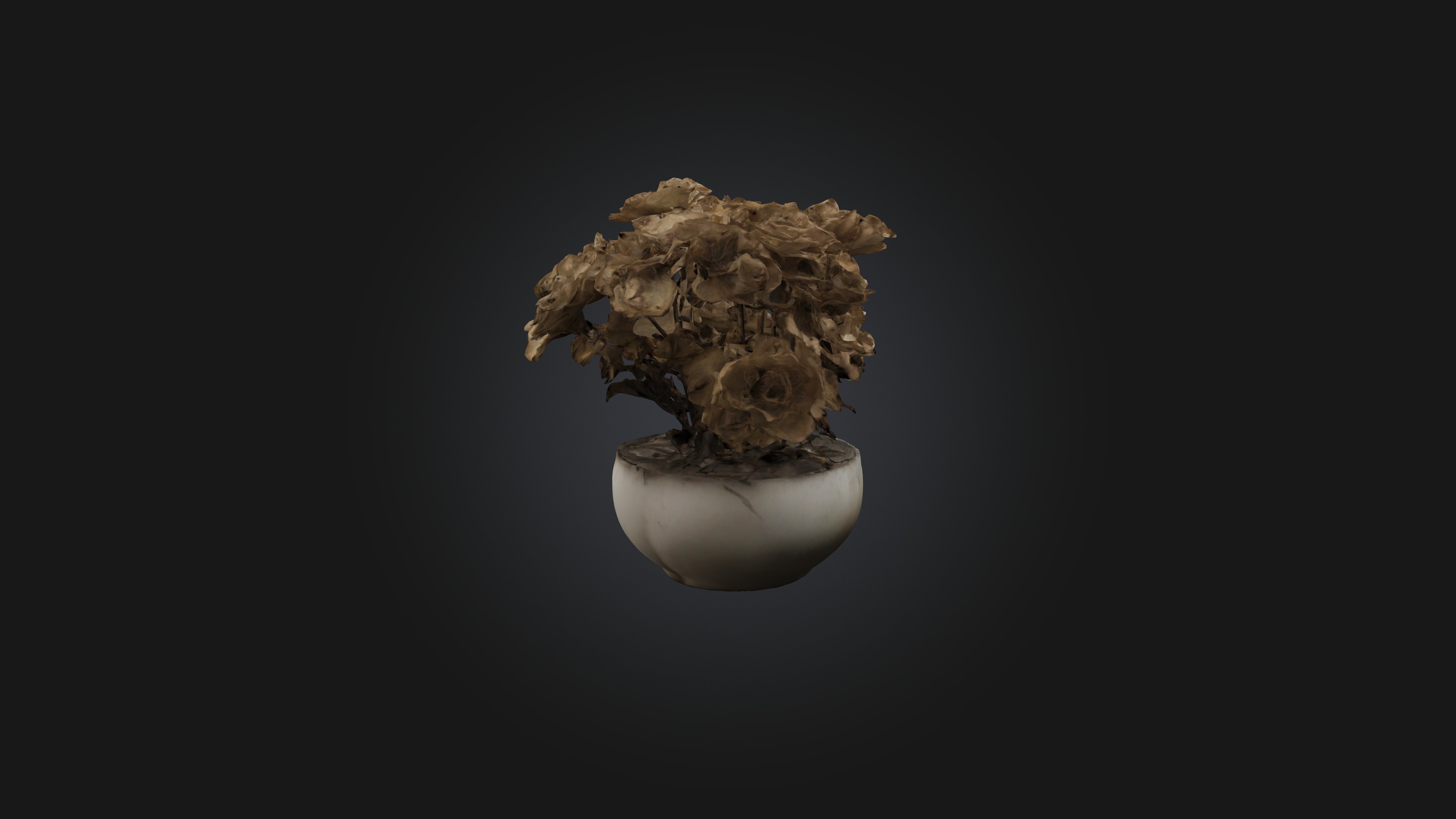 Withered Flowers Low-poly 3D model_5