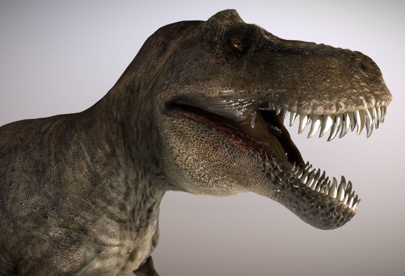 Tyrannosaurus rex Low-poly 3D model_7