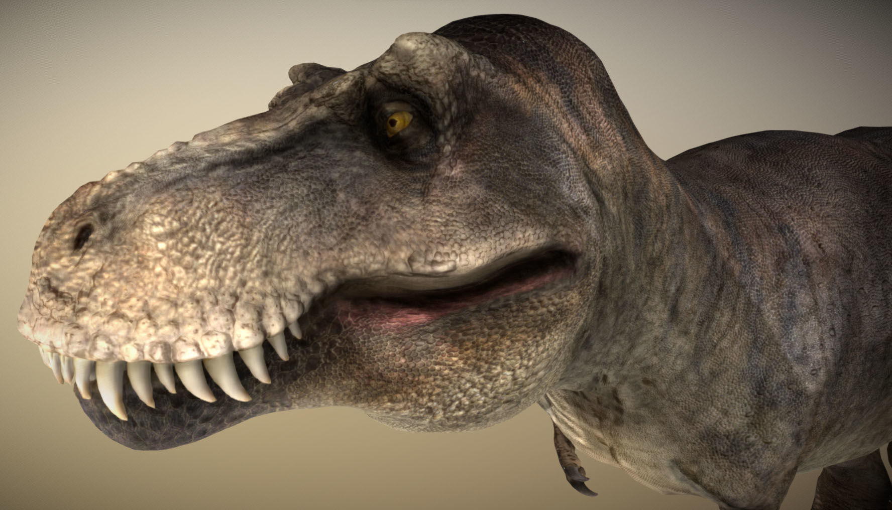 Tyrannosaurus rex Low-poly 3D model_1