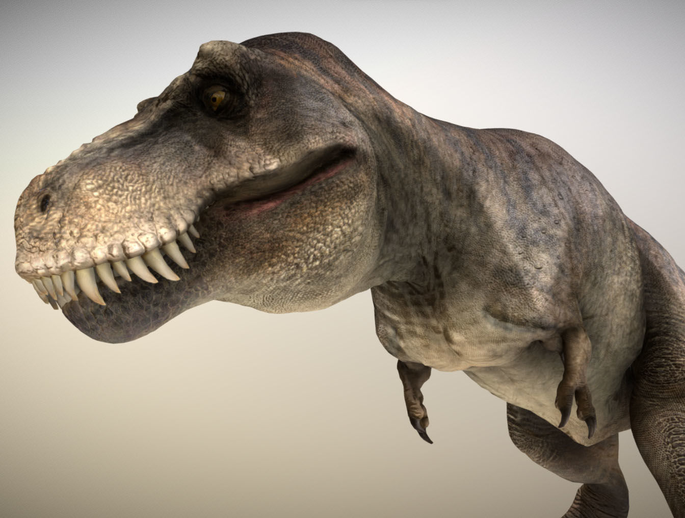 Tyrannosaurus rex Low-poly 3D model_4