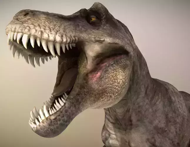 Tyrannosaurus rex