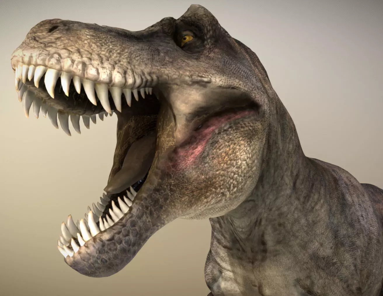 Tyrannosaurus rex Low-poly 3D model_0