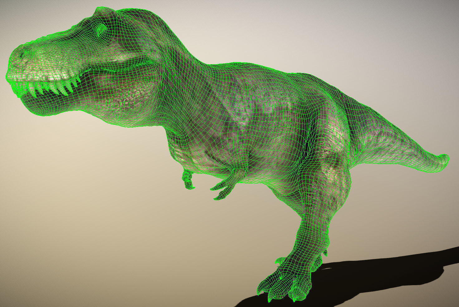 Tyrannosaurus rex Low-poly 3D model_6
