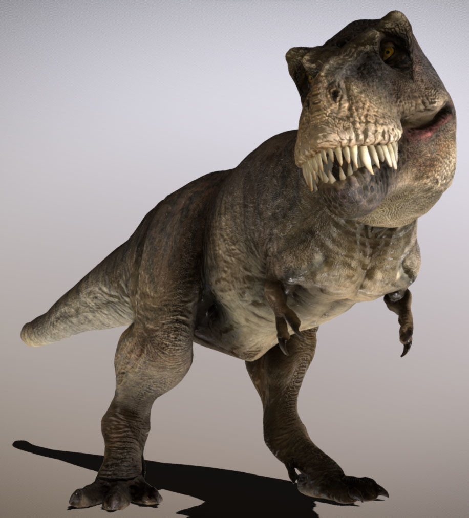 Tyrannosaurus rex Low-poly 3D model_3