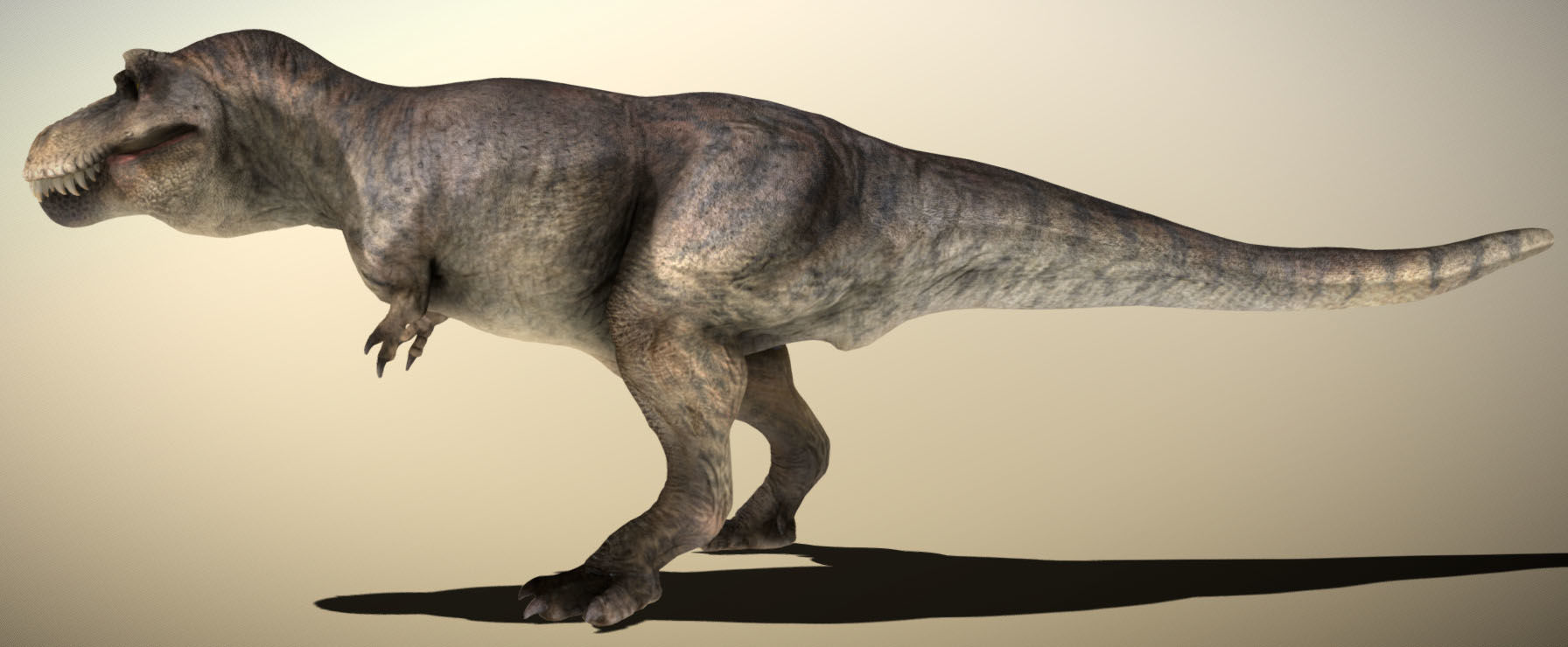 Tyrannosaurus rex Low-poly 3D model_8