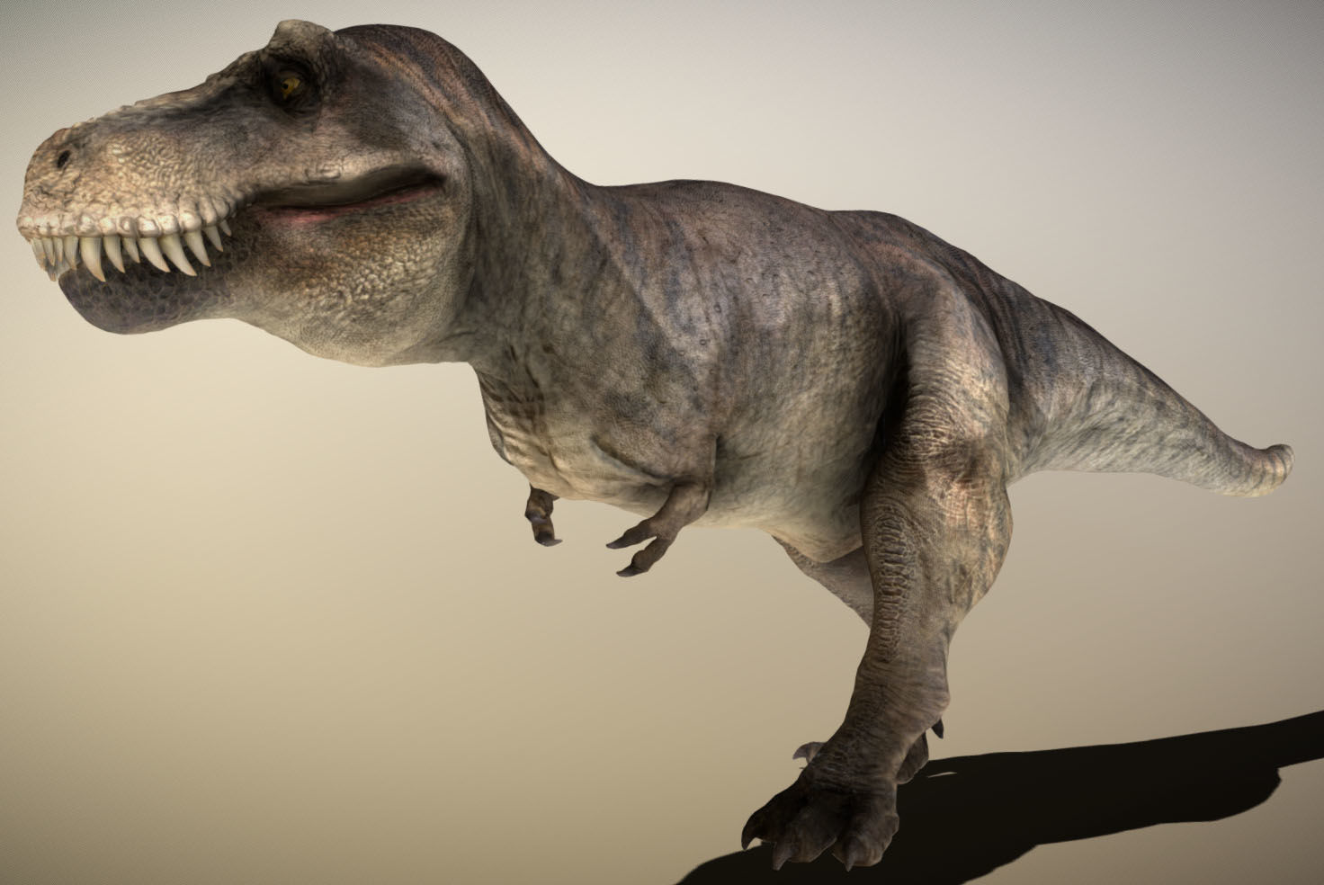 Tyrannosaurus rex Low-poly 3D model_5