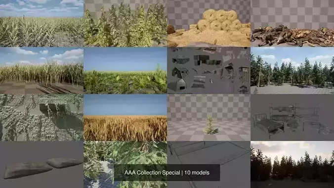 AAA Collection Special