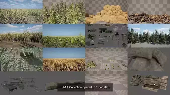 AAA Collection Special 