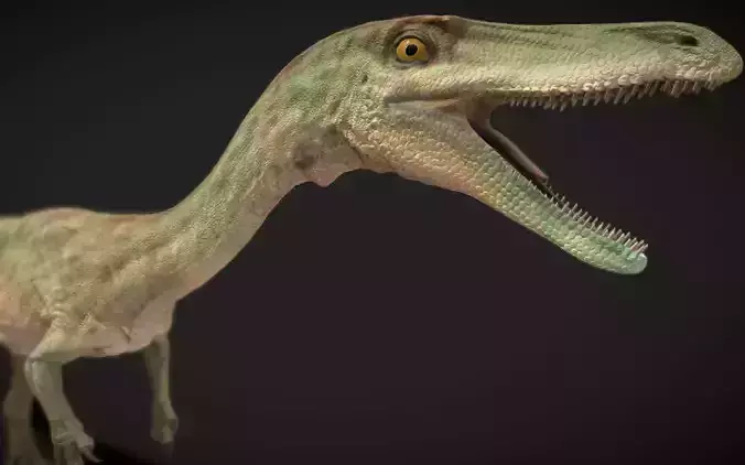 Coelophysis
