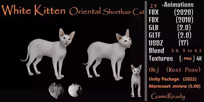 White Kitten Oriental Cat Low-poly 3D model
