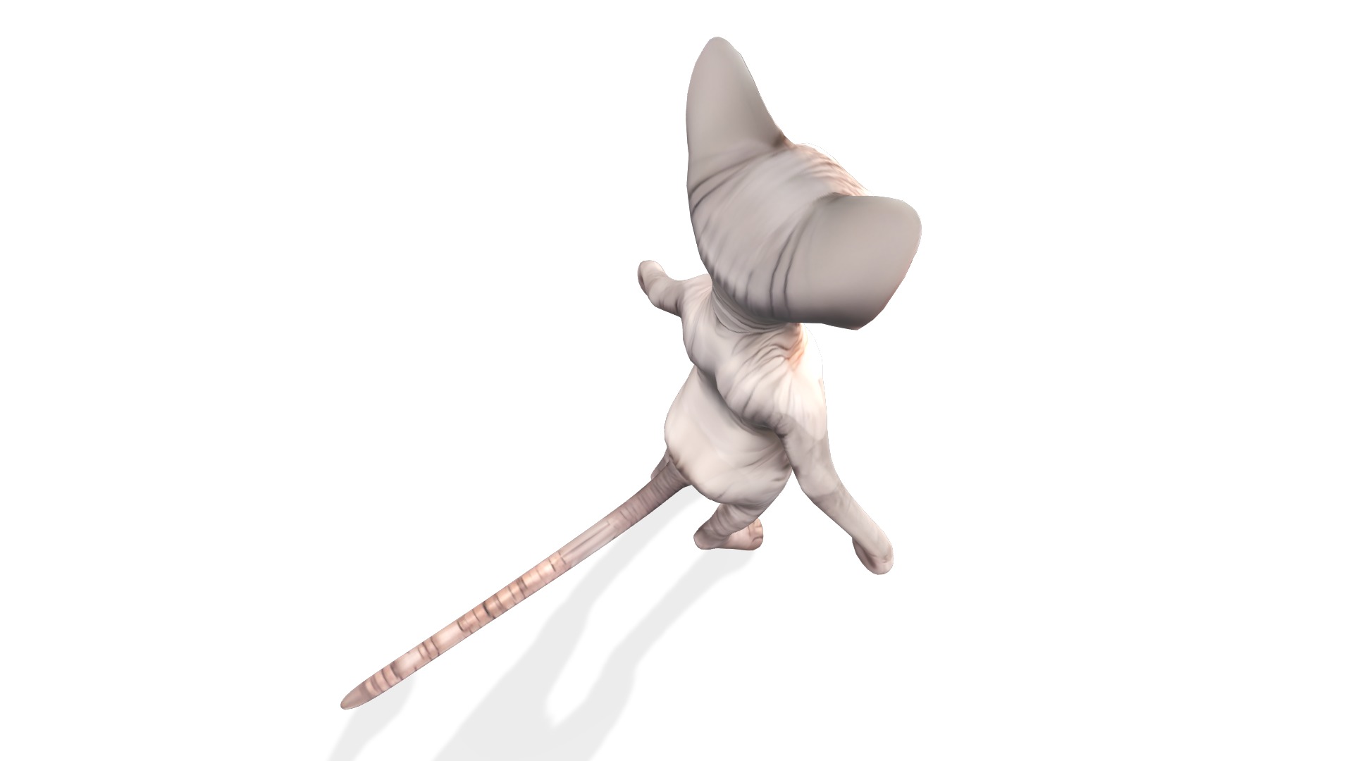 Zynx the Wrinkled Wanderer Low-poly 3D model_3