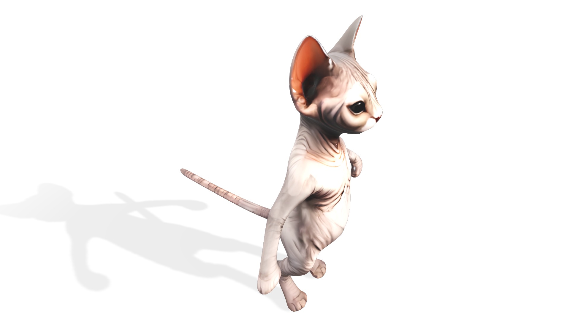 Zynx the Wrinkled Wanderer Low-poly 3D model_2
