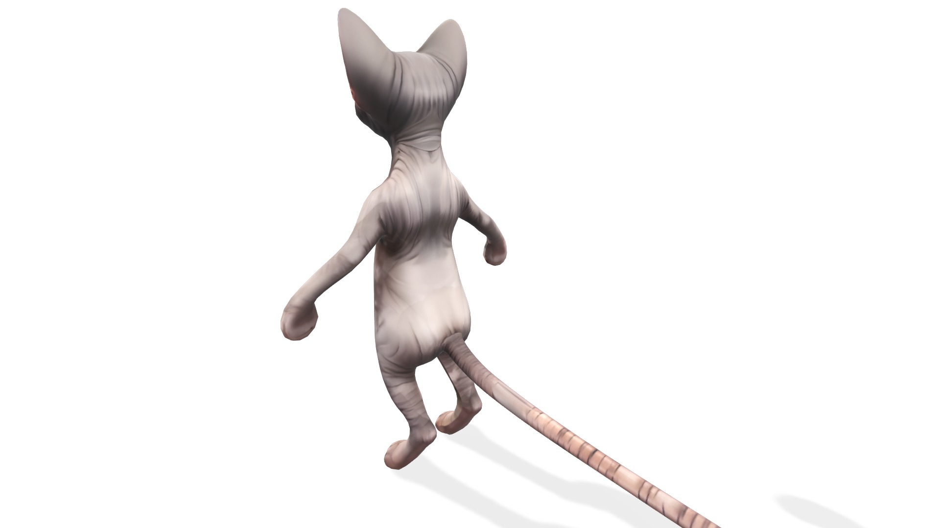 Zynx the Wrinkled Wanderer Low-poly 3D model_4