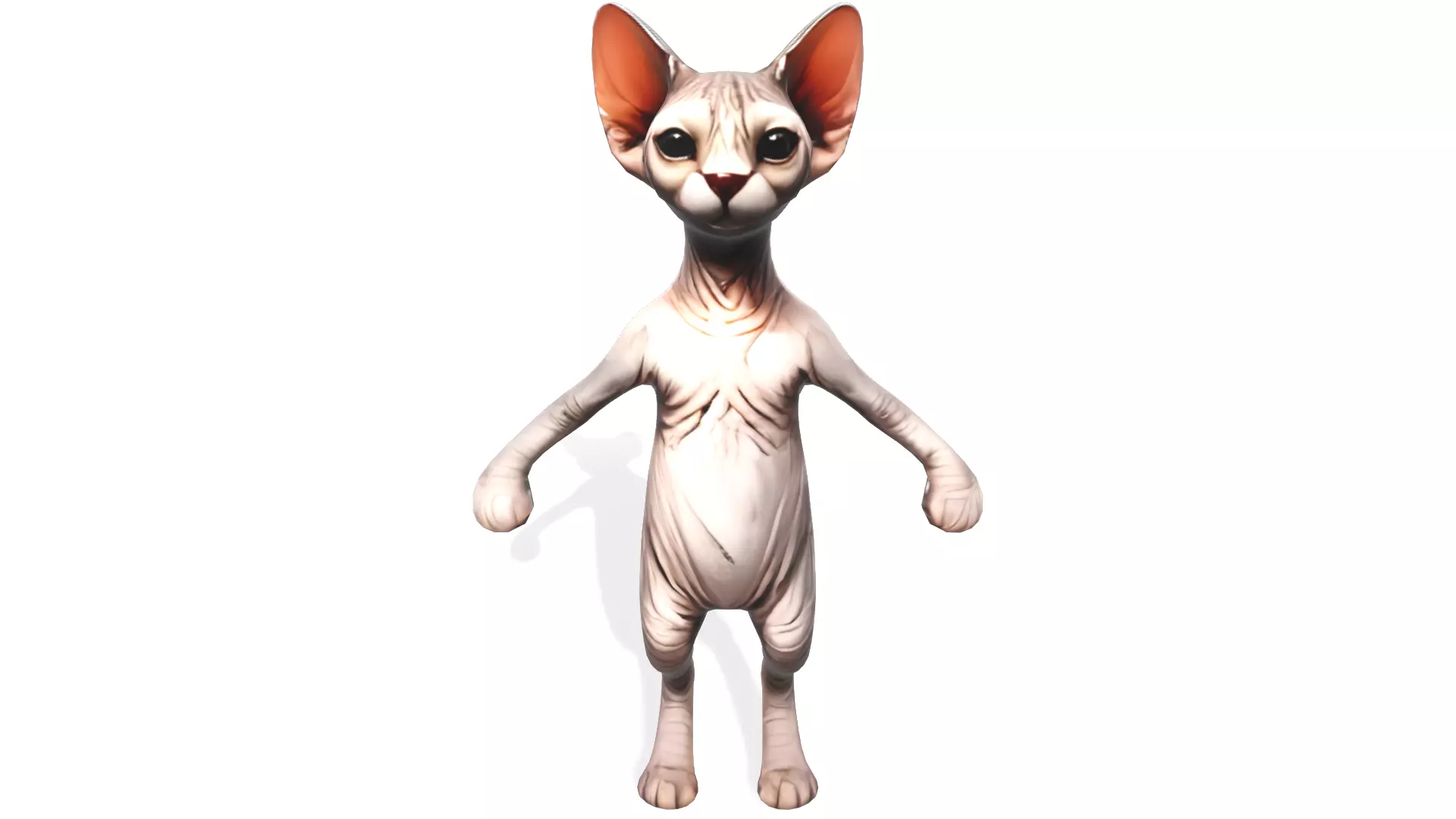 Zynx the Wrinkled Wanderer Low-poly 3D model_0