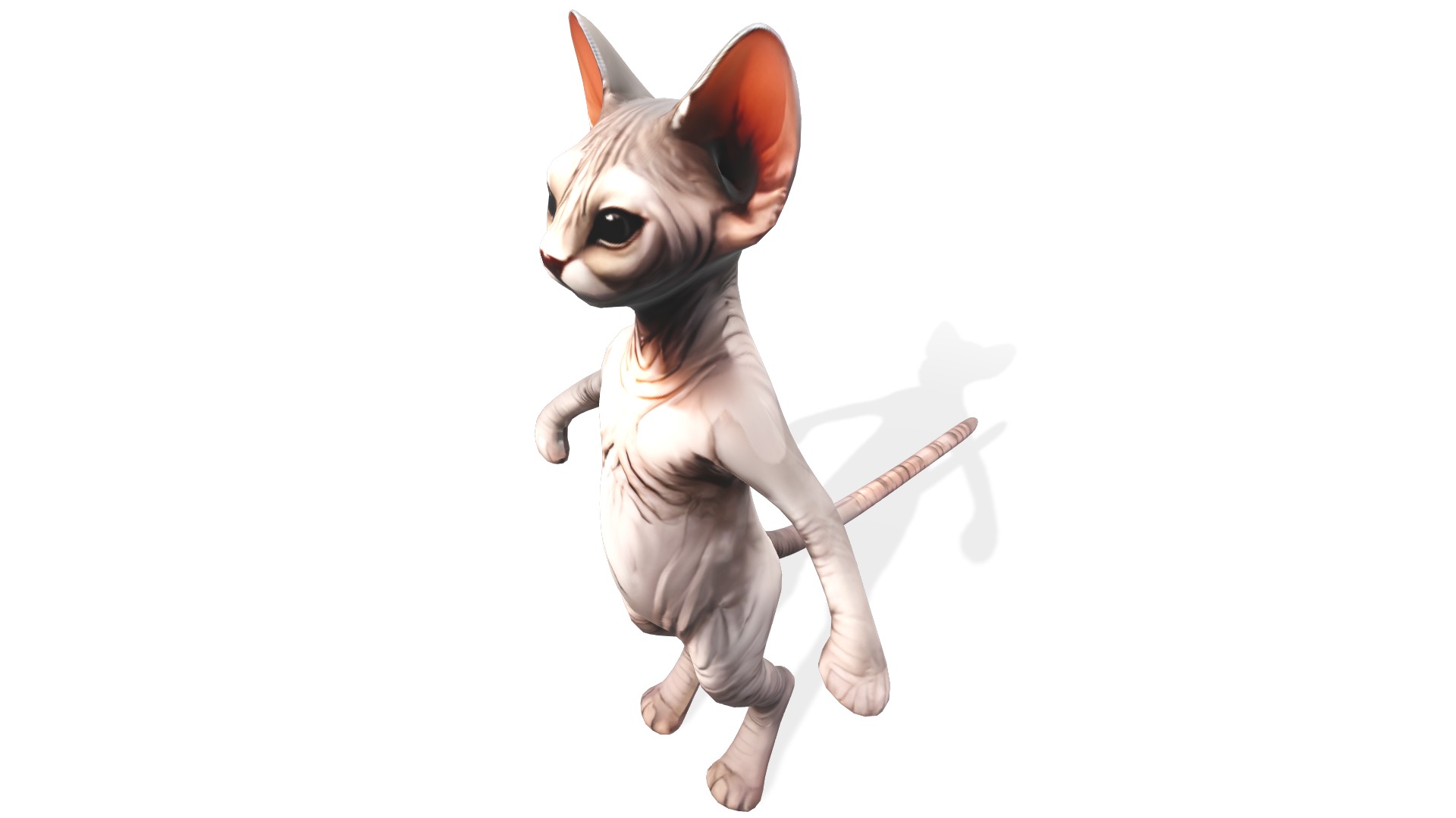 Zynx the Wrinkled Wanderer Low-poly 3D model_1