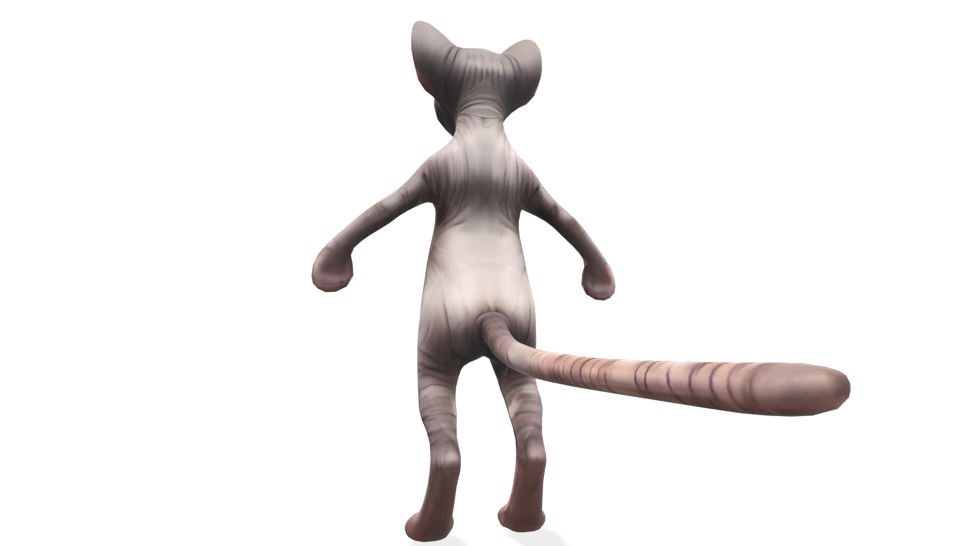 Zynx the Wrinkled Wanderer Low-poly 3D model_6