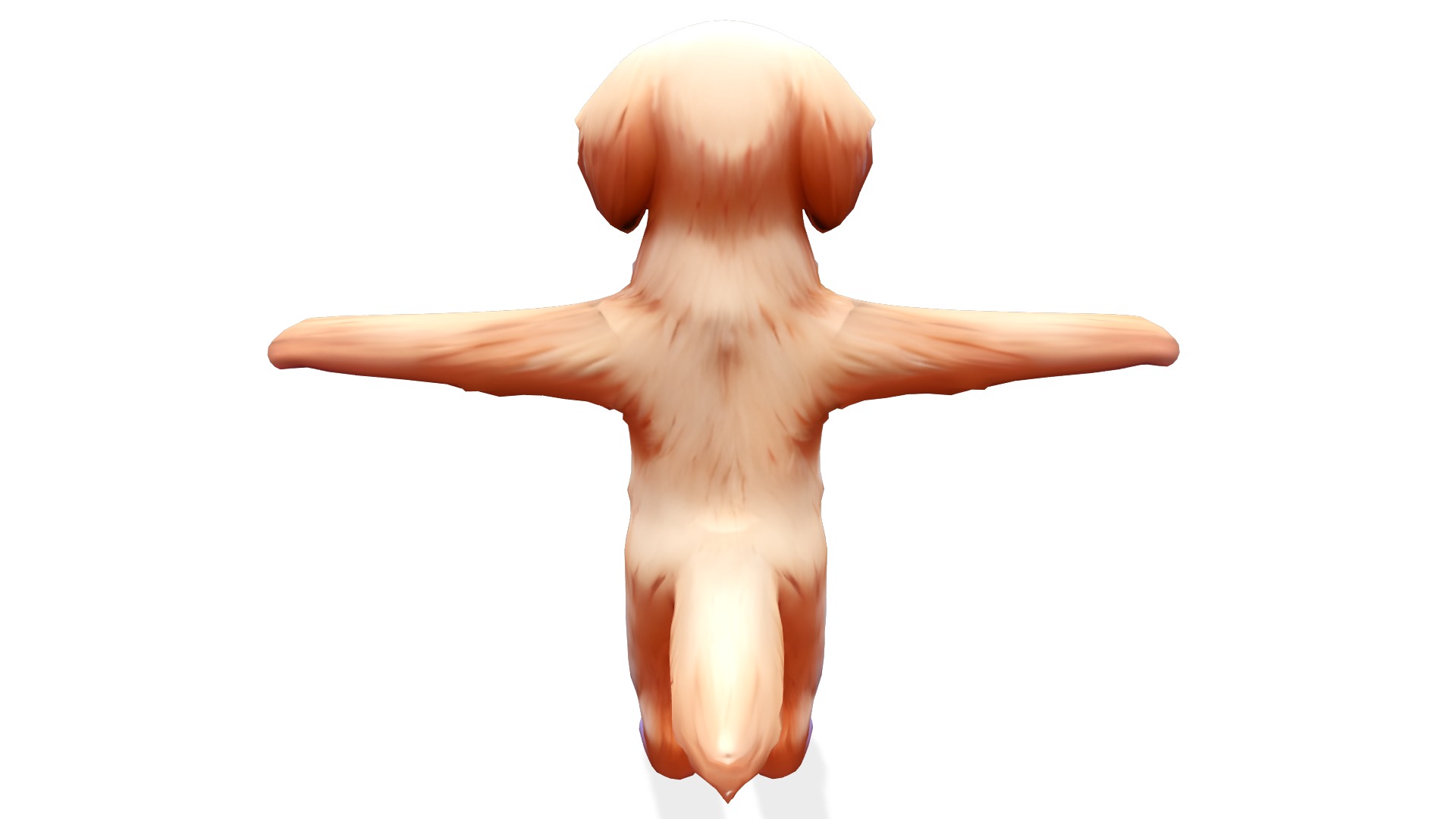 Golden Paws the Adorable Puppy Low-poly 3D model_5