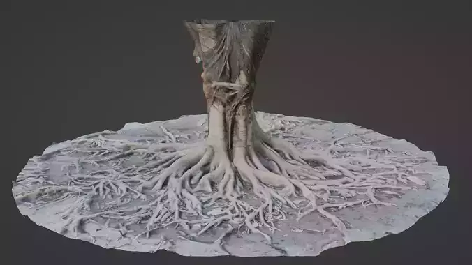 Scanned Tree Roots Low-poly 3D model