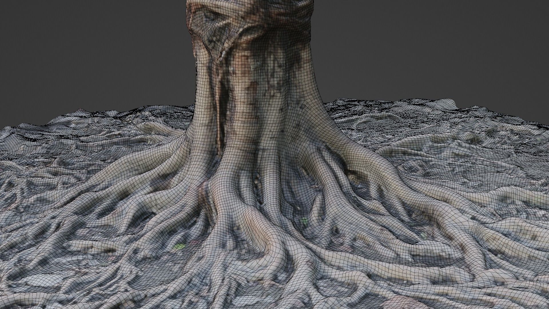 Scanned Tree Roots Low-poly 3D model_3
