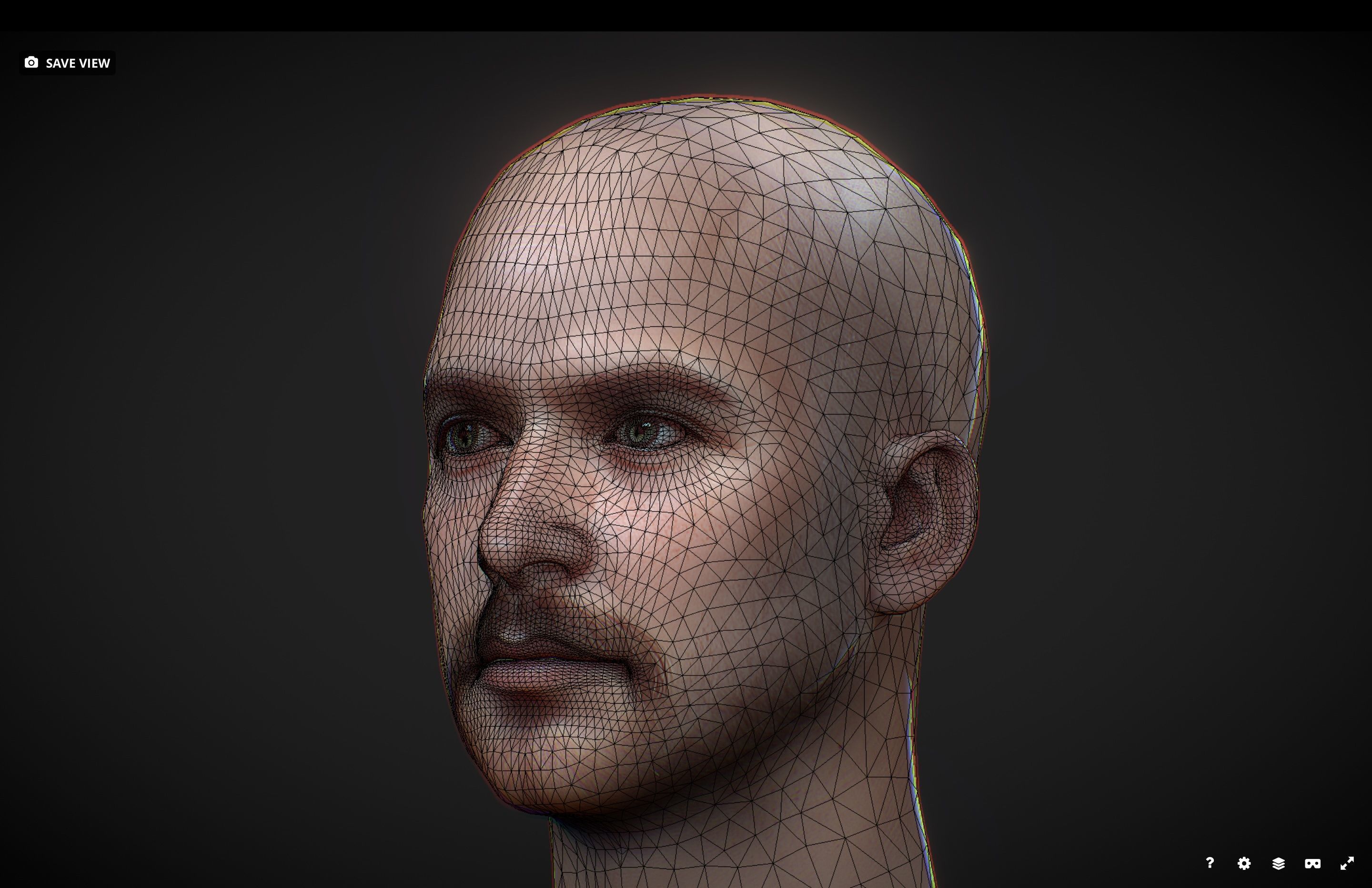Realistic White Male Low-poly 3D model_2