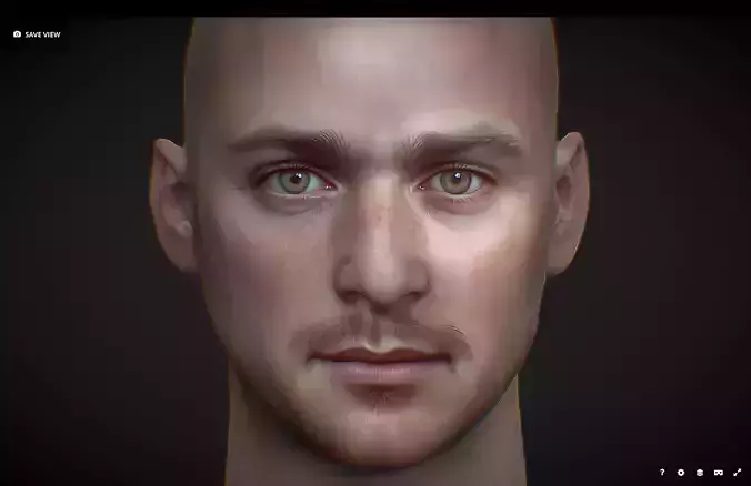 Male head Realistic Perfect Head