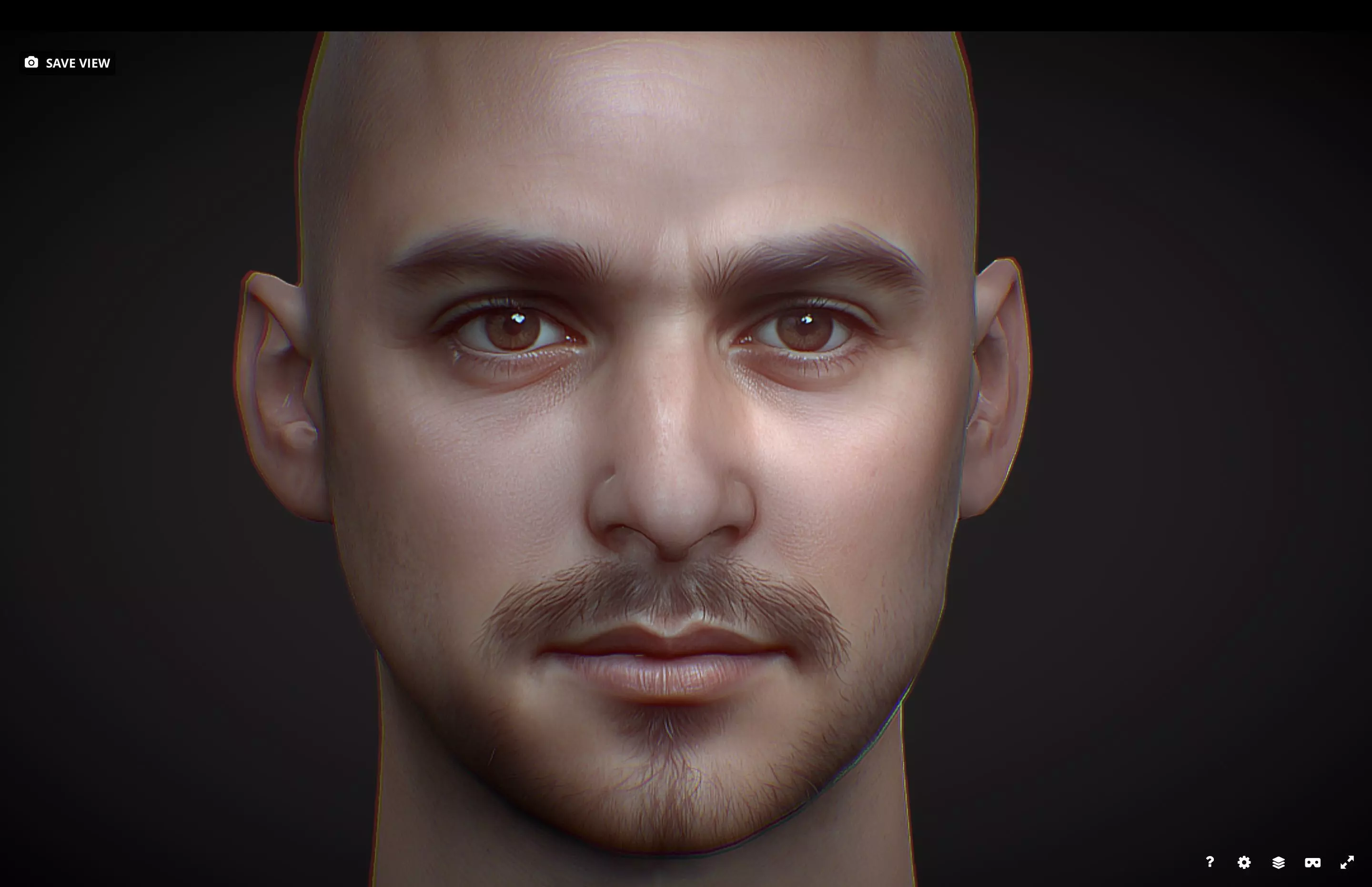 Male head Realistic Perfect Head Low-poly Low-poly 3D model