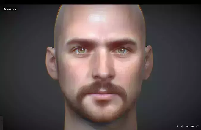 Male head Realistic Perfect Head Low-poly Low-poly 3D model