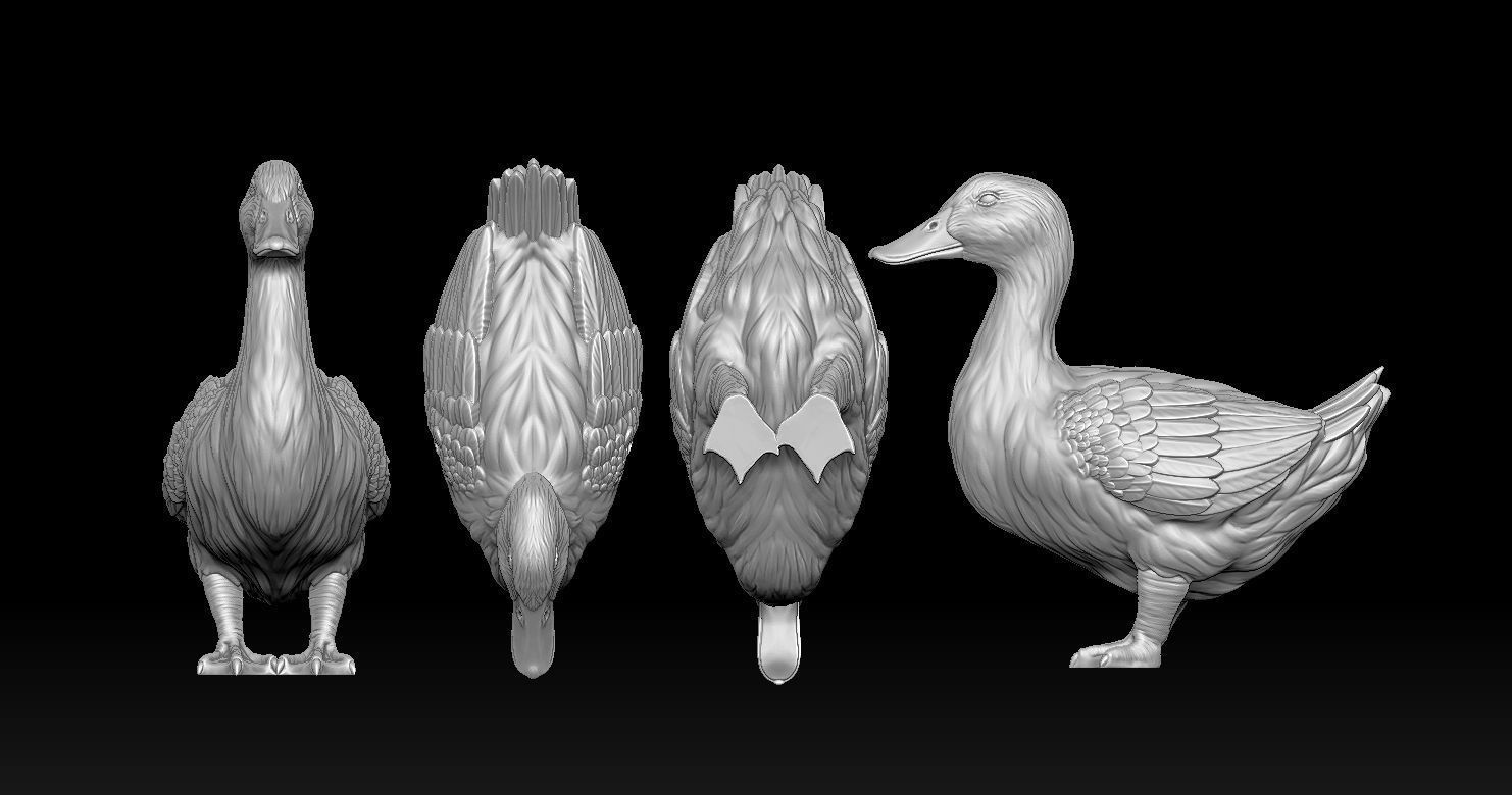 DUCK MODEL 3D PRINT 3D print model_6