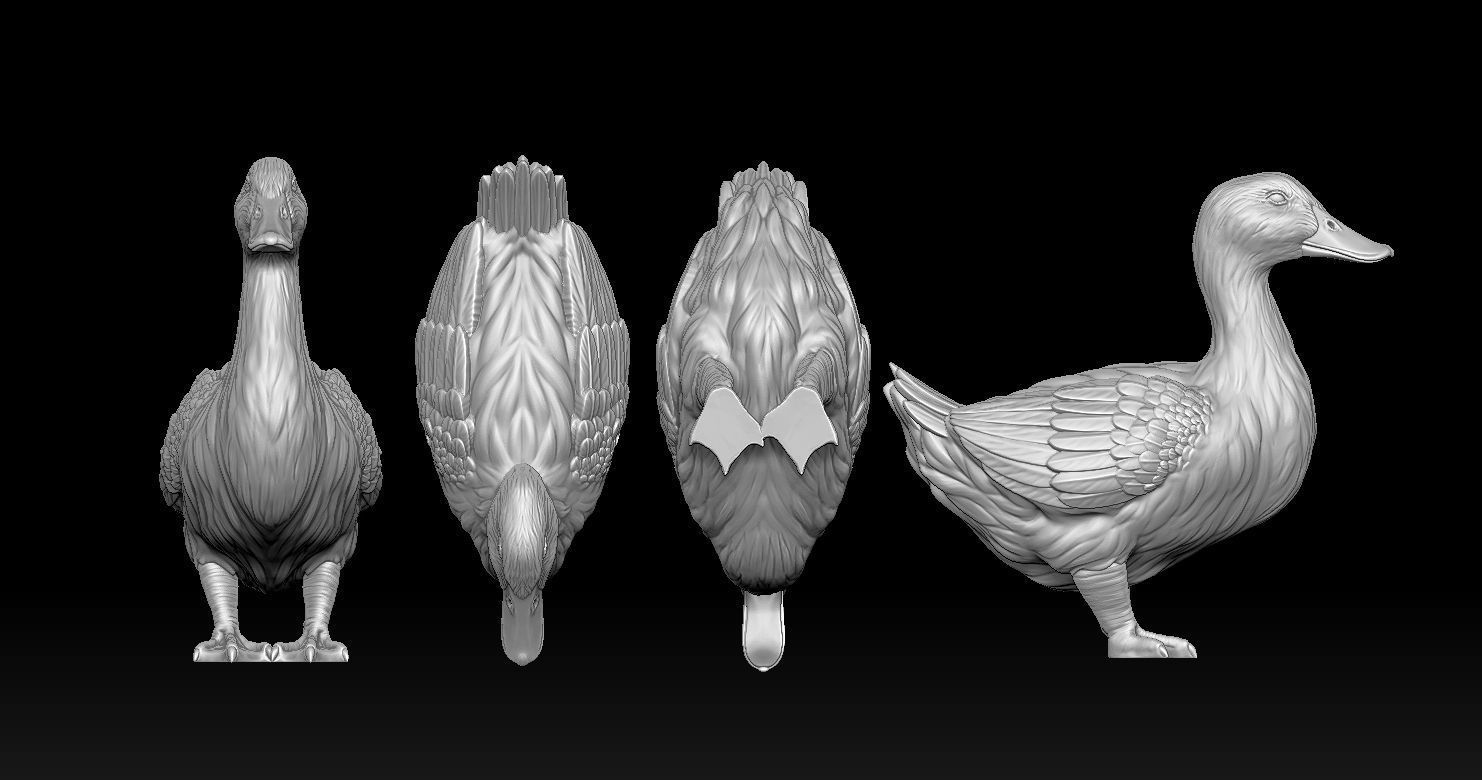 DUCK MODEL 3D PRINT 3D print model_4