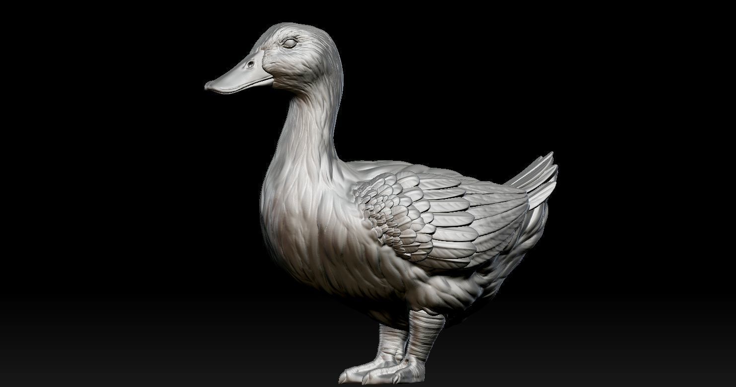 DUCK MODEL 3D PRINT 3D print model_7